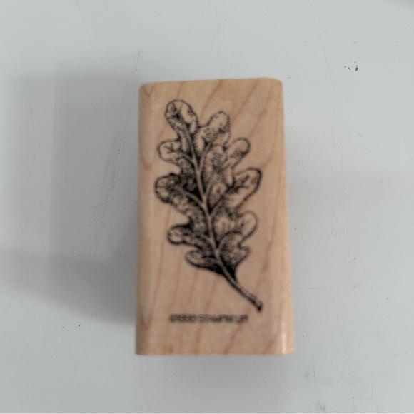 Stampin’ Up! 1998 8 pcs wood stamps - LEAVES & Cones - Picture 8 of 15